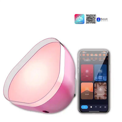 Good price Carregamento USB Atmosfera Luzes LED RGBIC Bluetooth Personalizado on-line